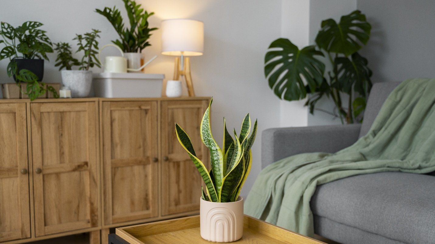 Mix High and Low Styles for a Designer Look by shreya